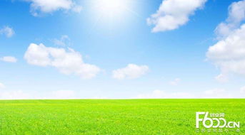 睿容空氣凈化器加盟指南 加盟費、官網、條件流程及政策支持解析